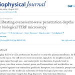 How to calibrate evanescent-wave penetration depths for biological TIRF microscopy?