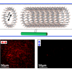 A thin layer of molecules aligned over macroscopic surface areas for the NANOSCALE project