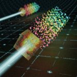 Spectral correlations in forward scattering media