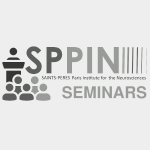 29/06 – Laetitia Chauvière : Early cognitive comorbidities in related brain diseases